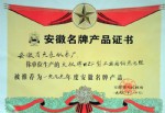 “天儀”牌WZP型工業用鉑熱電阻被安徽省人民政府推薦為九九年度安徽省名牌產品